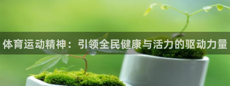 MK体育官方正版app集团E.ON：体育运动精神：引