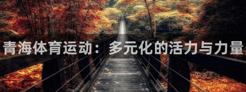 MK体育官方正版app集团简介：青海体育运动：多元化的活力与