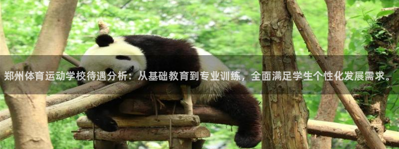 MK体育官网下载平台：郑州体育运动学校待遇分析：从基础教育到