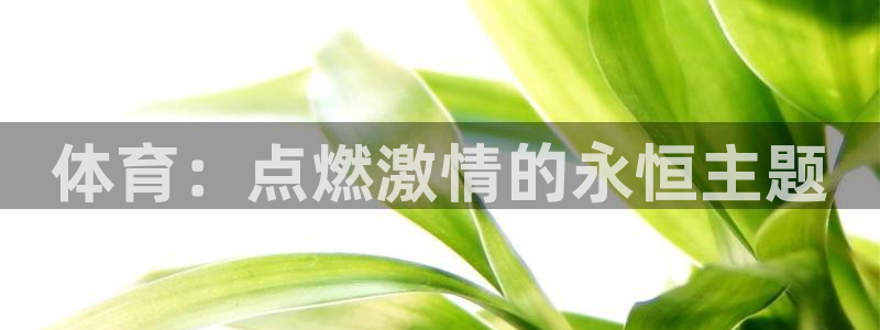 MK体育官方正版app官方：体育：点燃激情的永恒主题