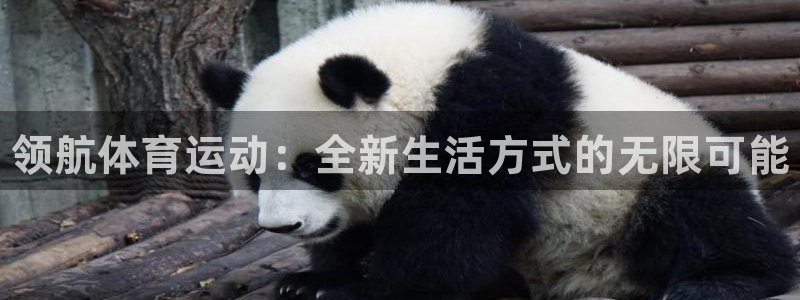 MK体育官方正版app代理：领航体育运动：全新生活方