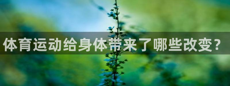 MK体育官方正版app集团官网首页网址：体育运动给身