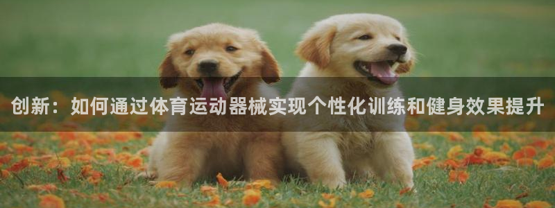 MK体育官网下载招商电话是多少啊：创新：如何通过体育运动器械