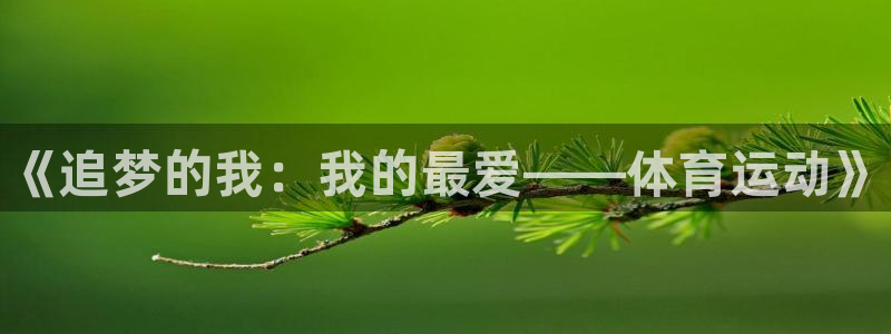 MK体育官网下载