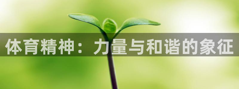 MK体育官网下载平台注册流程图：体育精神：力量与和谐的象征
