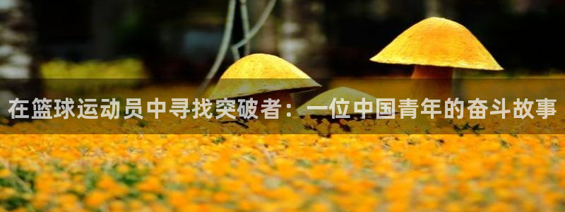 MK体育官方正版app五金厂：在篮球运动员中寻找突破