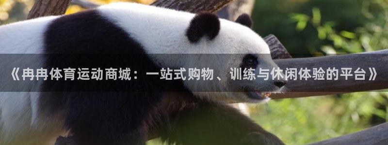 德国MK体育官方正版app集团：《冉冉体育运动商城：一站式购