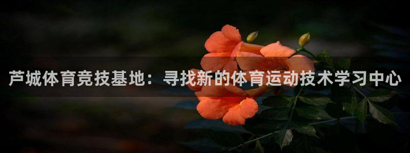 MK体育官方正版app五金厂：芦城体育竞技基地：寻找
