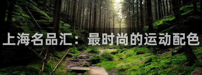 MK体育官网下载平台是正规平台吗安全吗：上海名品汇：