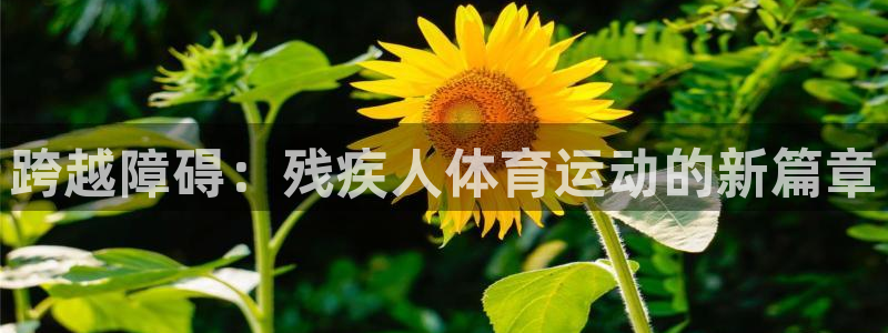 MK体育官网下载联系电话：跨越障碍：残疾人体育运动的