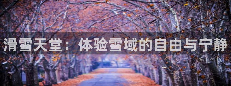 MK体育官网下载招商电话号码查询是多少：滑雪天堂：体验雪域的