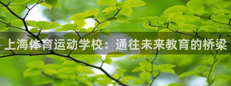 MK体育官方正版app官方：上海体育运动学校：通往未来教育的