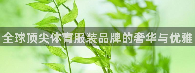 MK体育官方正版app娱乐下载：全球顶尖体育服装品牌的奢华与