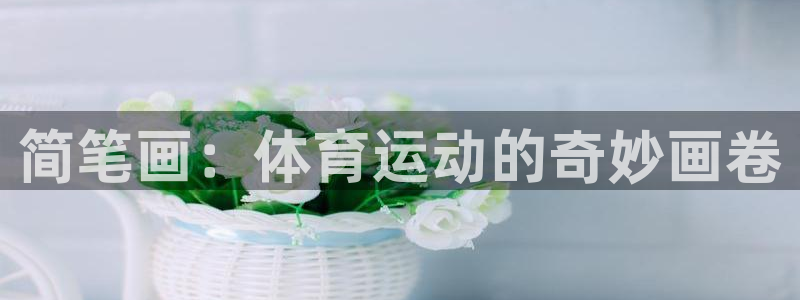 MK体育官网下载注册：简笔画：体育运动的奇妙画卷