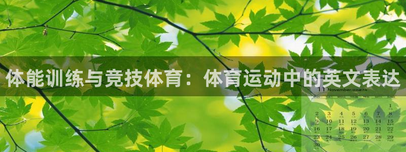 MK体育官方正版app集团官网首页：体能训练与竞技体育：体育