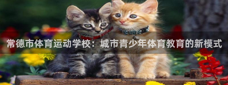 MK体育官网下载平台是正规平台吗知乎