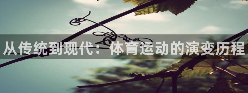 MK体育官方正版app娱乐40996：从传统到现代：