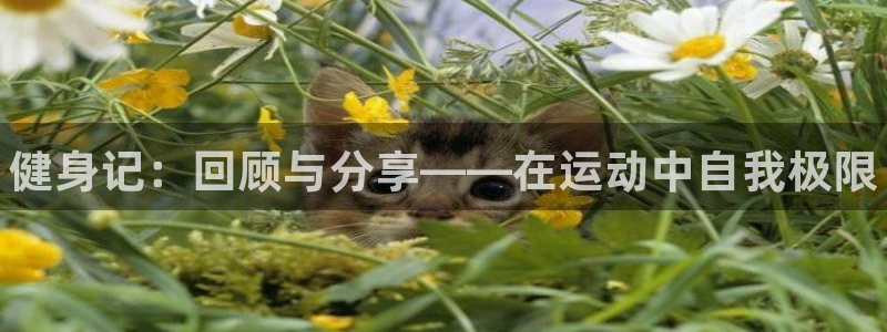 MK体育官方集团官网：健身记：回顾与分享——在运动中自我极限