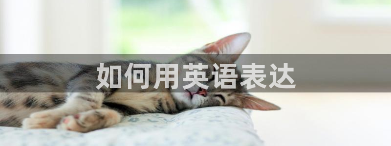 MK体育官网下载平台是正规平台吗安全吗：如何用英语表