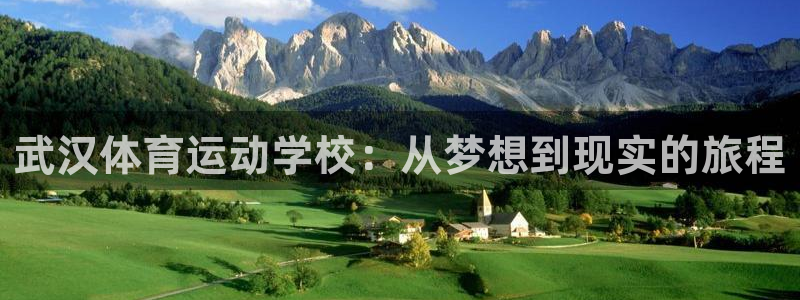 注册MK体育官方正版app：武汉体育运动学校：从梦想到现实的