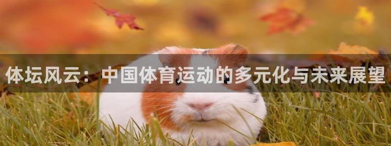 MK体育官方正版app娱乐首页网站大全：体坛风云：中国体育运