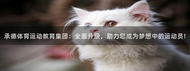 MK体育官网下载招商电话号码查询是多少：承德体育运动教育集团