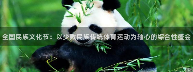 MK体育官方正版app集团官网首页：全国民族文化节：以少数民