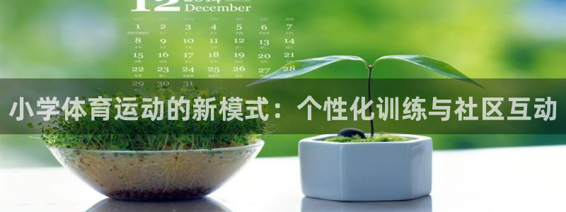 MK体育官方正版app集团E.ON：小学体育运动的新模式：个