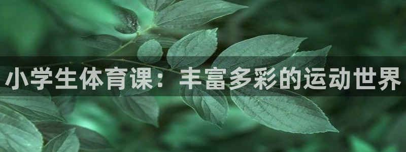 mk体育集团：小学生体育课：丰富多彩