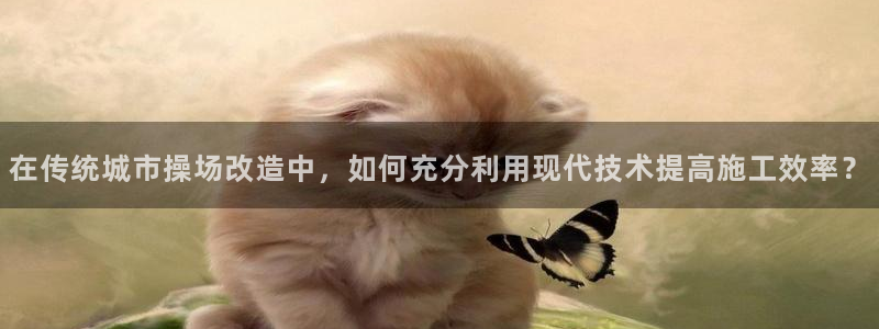 mk体育官网登录入口网址是多少：在传