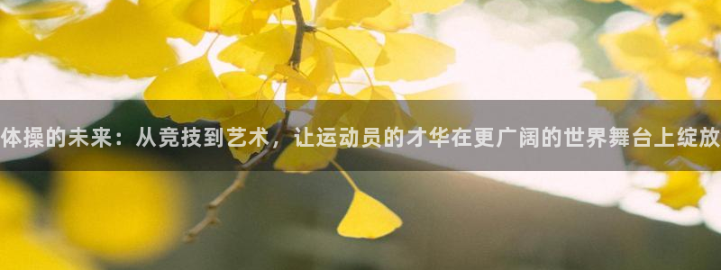 mk体育在线官网入口：体操的未来：从