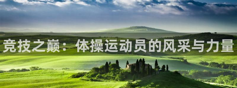  mk体育官网入口：竞技之巅：体操运动员的风采与力量