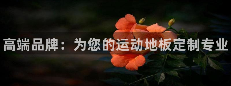 MK体育恩波利：高端品牌：为您的运动