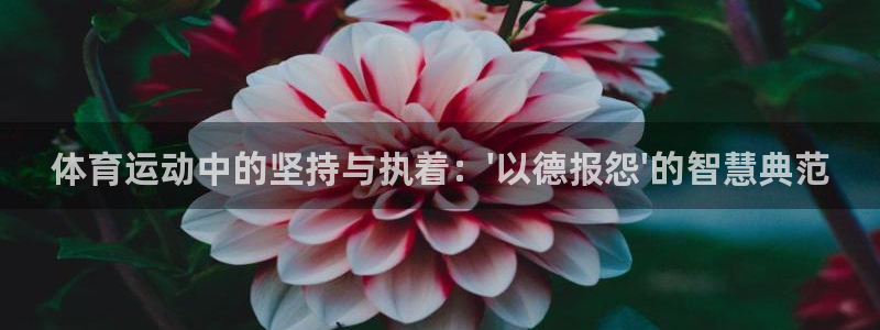  mk体育系列平台有哪些：体育运动中的坚持与执着：\'以德报怨