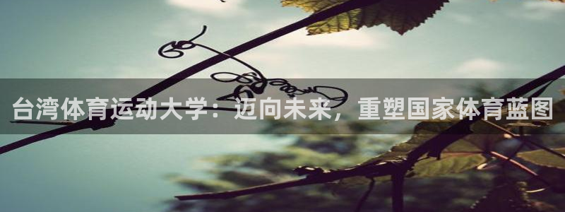MK体育恩波利合作伙伴：台湾体育运动