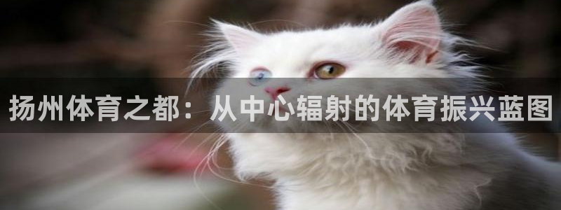  mk体育在线官网首页：扬州体育之都：从中心辐射的体育振兴蓝图