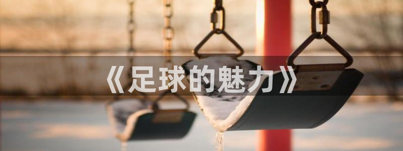 mk体育改名金年会：《足球的魅力》