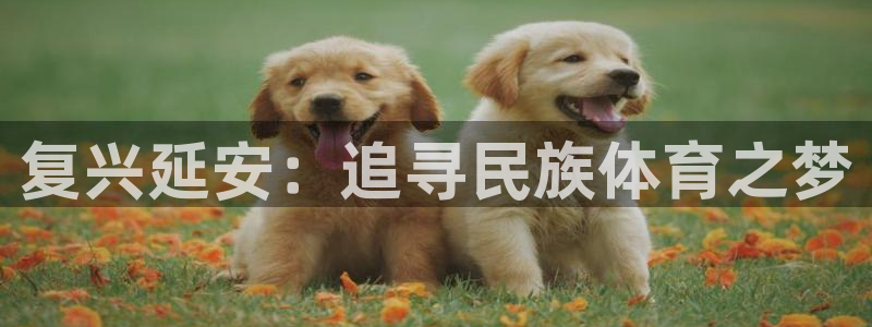 mk体育平台怎么样：复兴延安：追寻民