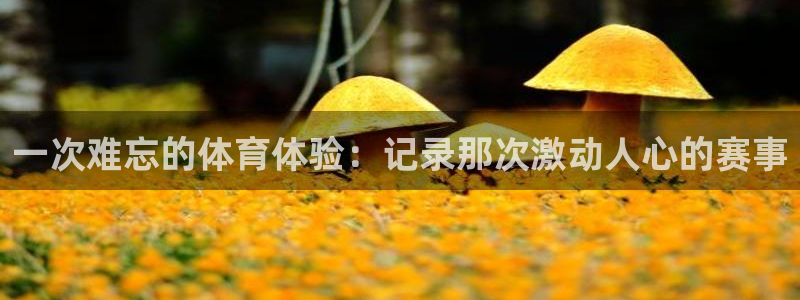  mk体育系列平台有哪些：一次难忘的体育体验：记录那次激动人心
