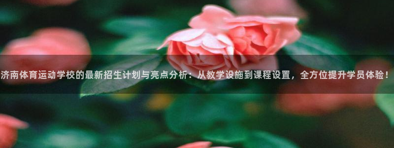 mk体育提现多久到账啊：济南体育运动