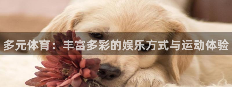 mk体育官网入口网址是多少：多元体育